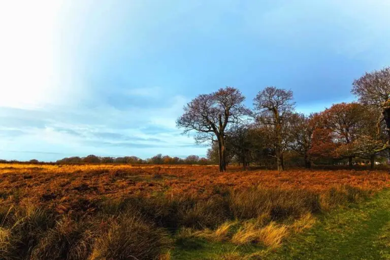 Home England scenery 1
